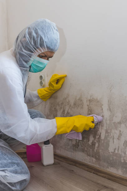 Best Indoor Air Quality Assessment  in Creve Coeur, MO
