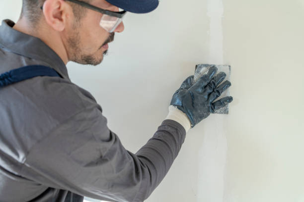 Best Crawl Space Mold Remediation  in Creve Coeur, MO