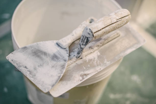 Best Mold Odor Removal Services  in Creve Coeur, MO